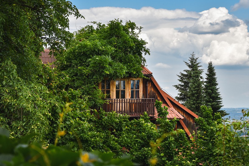 iStock-1325114150.jpg